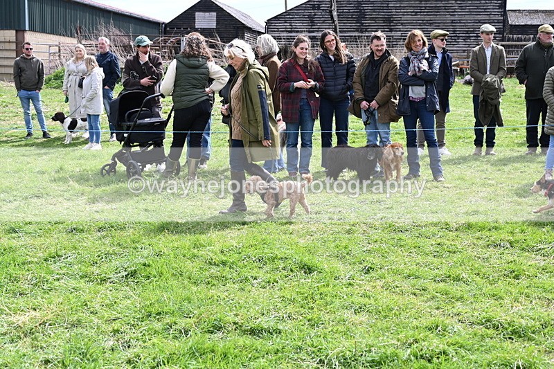 WJ6_8245 - Class 4 Prettiest Bitch