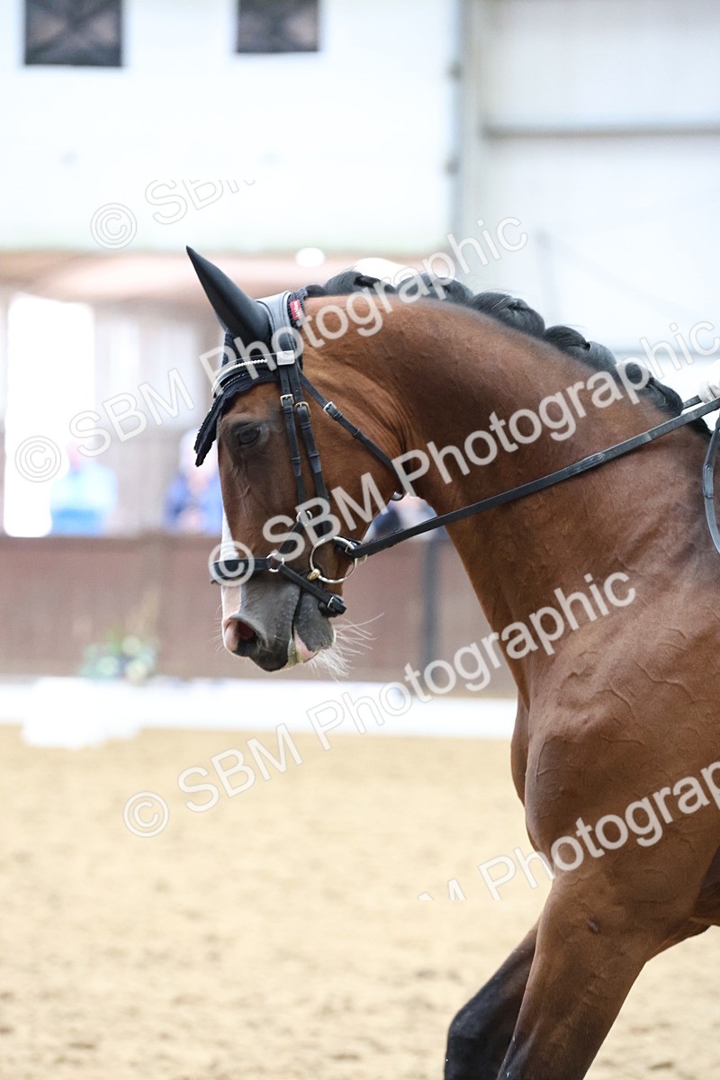 SBM_006813 - Class 22 - Medium 5 Silver