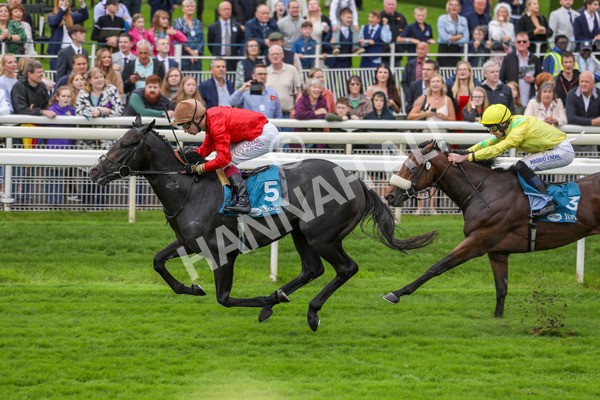 080924-Race 3-Brighton Boy-4417 - Race 3 2.50pm Irish Thoroughbred Marketing Nursery Handicap