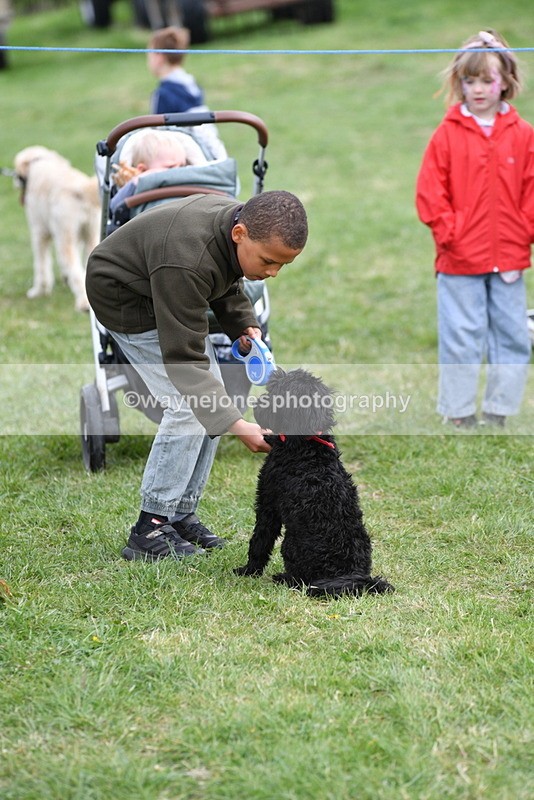 WJ5_9109 - Class 1 Best Cross Breed / Heniz 57