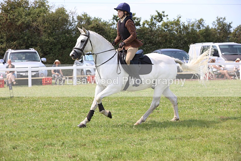 JPP_3610 - Class 23: Working Hunter 80cm