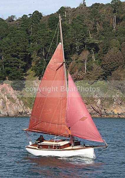 090913 DOLPHIN IMG_6691 - Sailboats - monohull