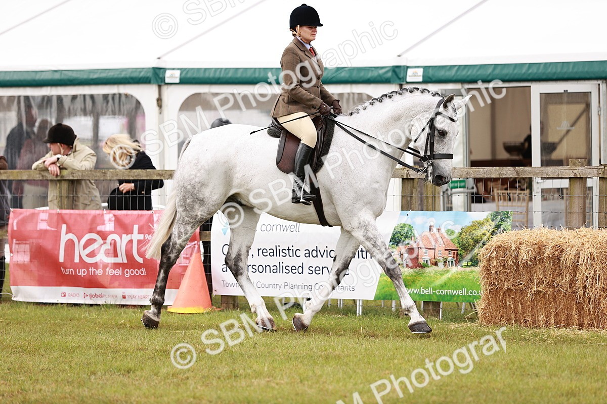 SBM_11534 - Class 81-84 - RIHS Ridden hunters Inc Ladies Hunter