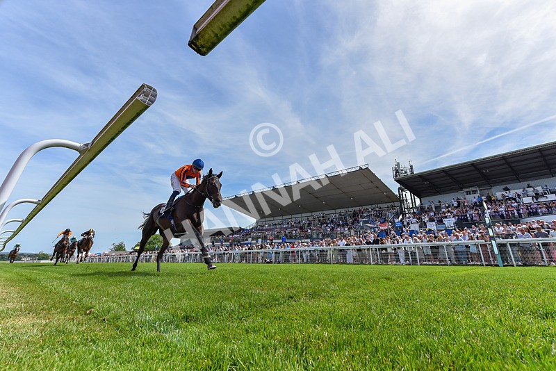 300526-Race 1-Sportingsilvermine-9148 - Race 1 13.45pm Napoleons Casino Hull Handicap