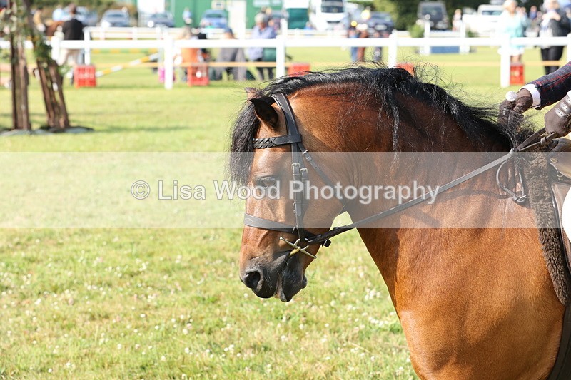 JPP_0503 - Class 15: Cornish Combination First Ridden