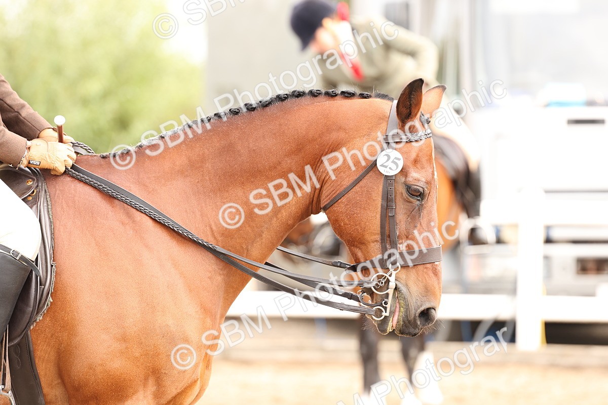 SBM_01541 - Class 52 - Ridden Veteran