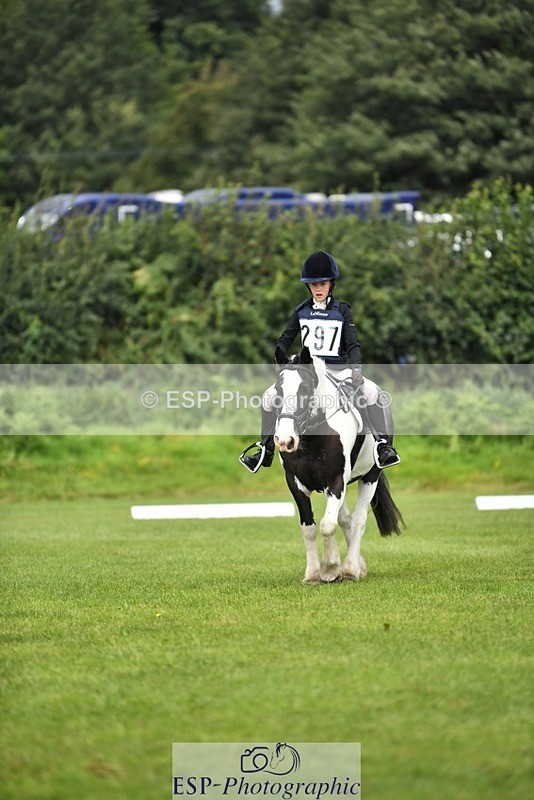 230826-112915-15879 - Sections C & D 10 to End