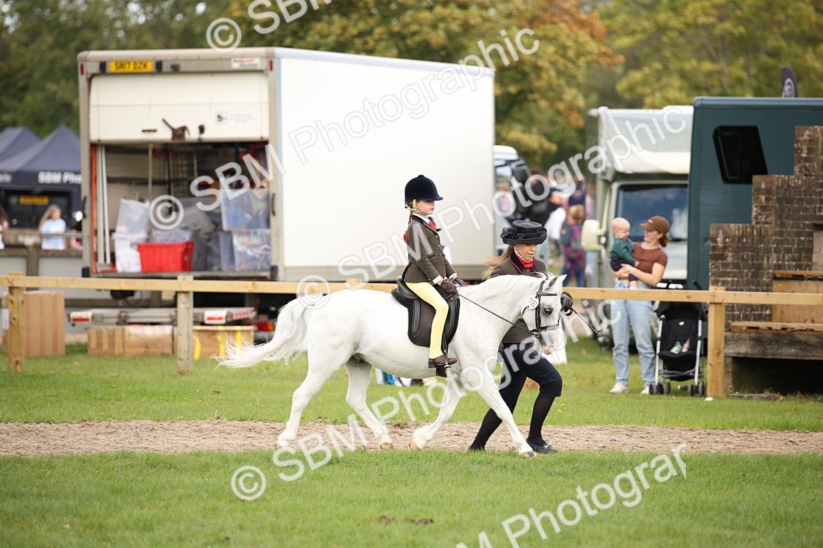 SBM_50009 - S26 - Young Veteran - Ridden