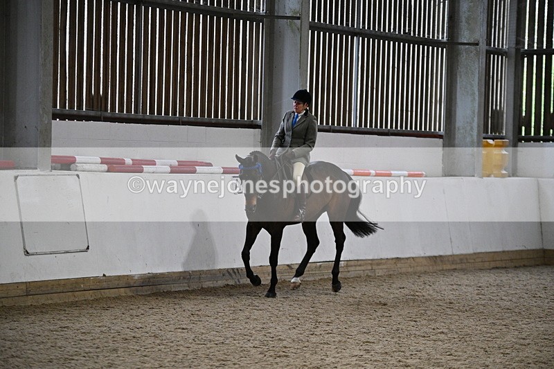 WJ7_4276 - Class 17 Ridden Cob