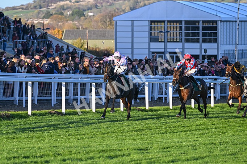 251025-Race 7-Chicker-0309 - Race 7