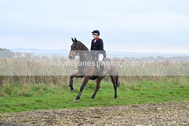 WJ7_0274 - Camera 1 & Last fence