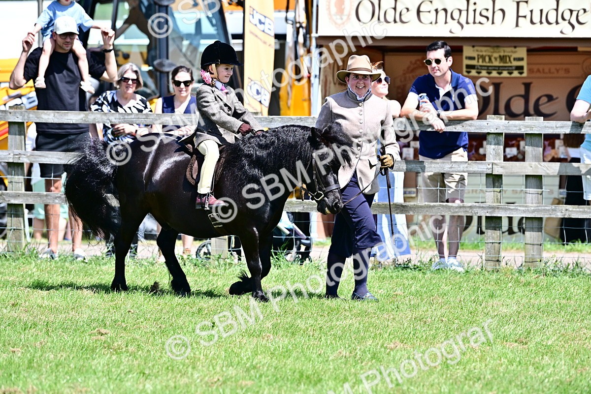 SBM_05873 - Class 59-60 - TSR M&M  Lear Rein and First Ridden Amateur of the year