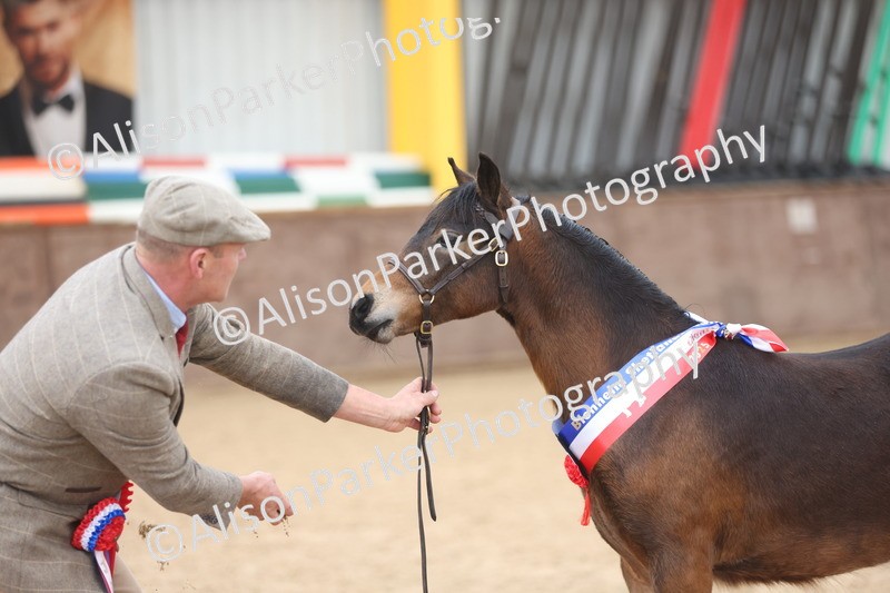 20251109-0718 - Championship