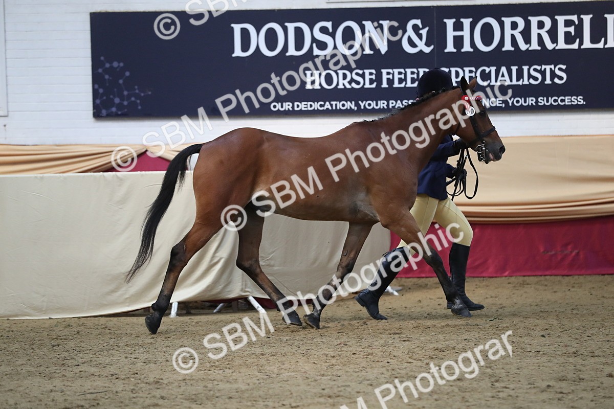 SBM_07333 - Class 10R Regional Ridden Diamond