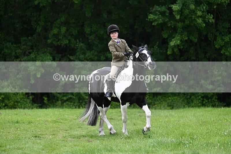 WJ7_2391 - Class 12A Coloured Class