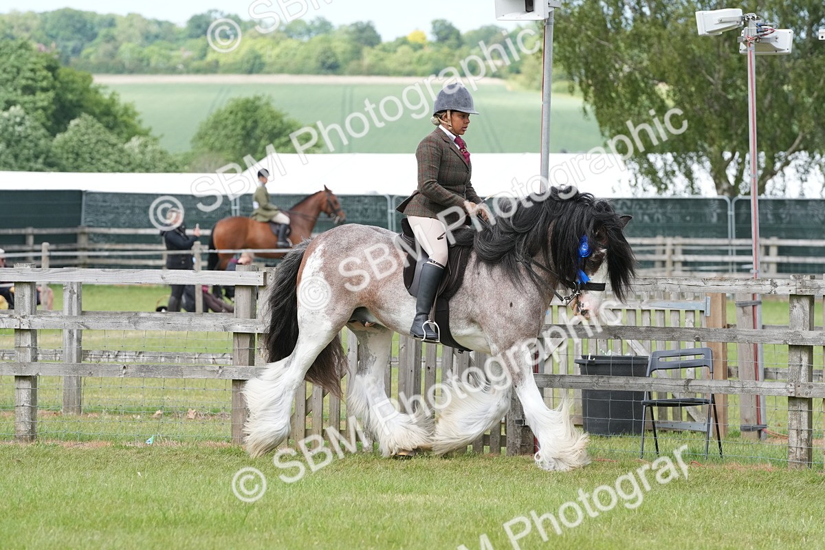 SBM_17646 - Class 107-108 - LIHS BSPS Performance Coloured Horse Pony