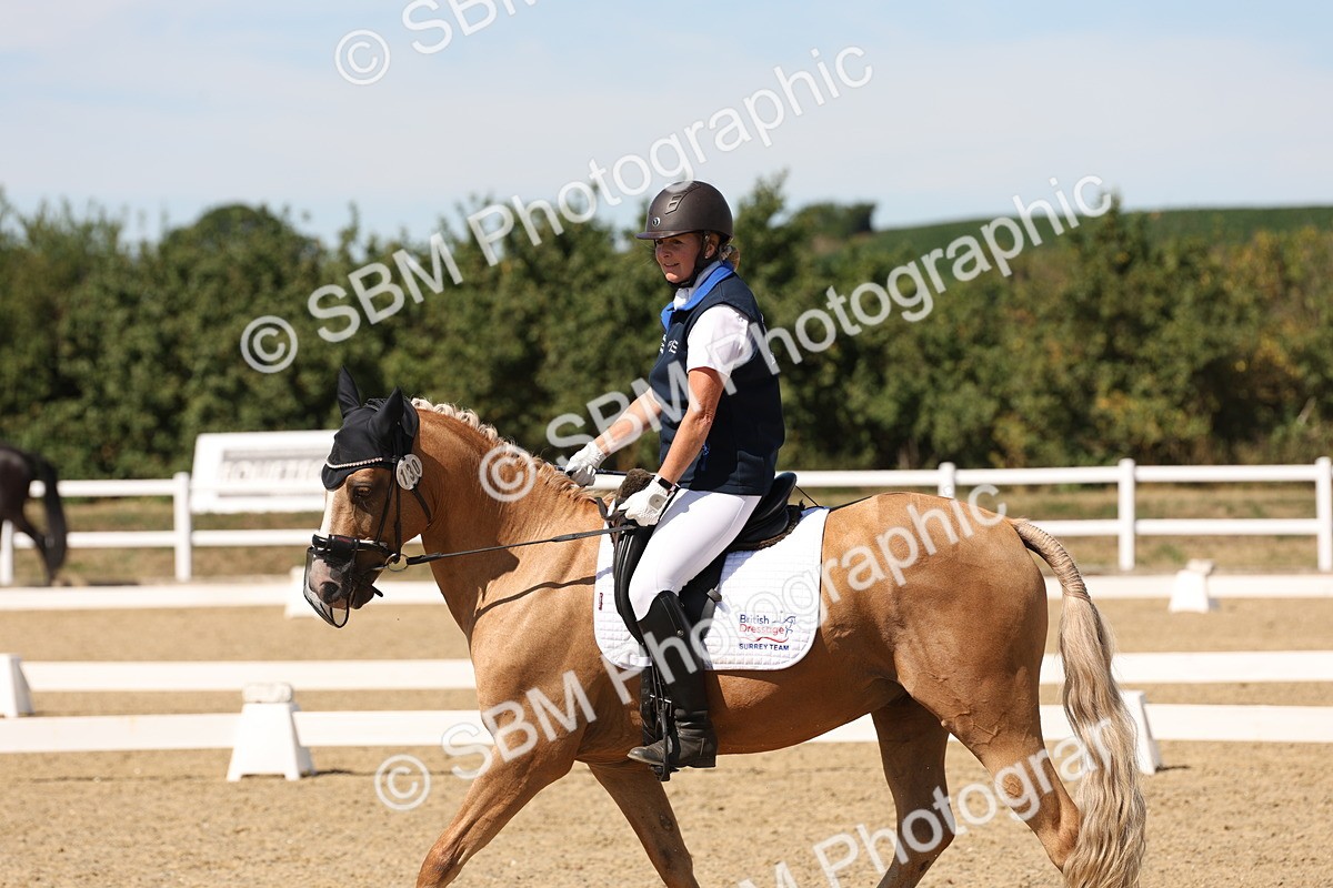 SBM_003666 - Elementary 4