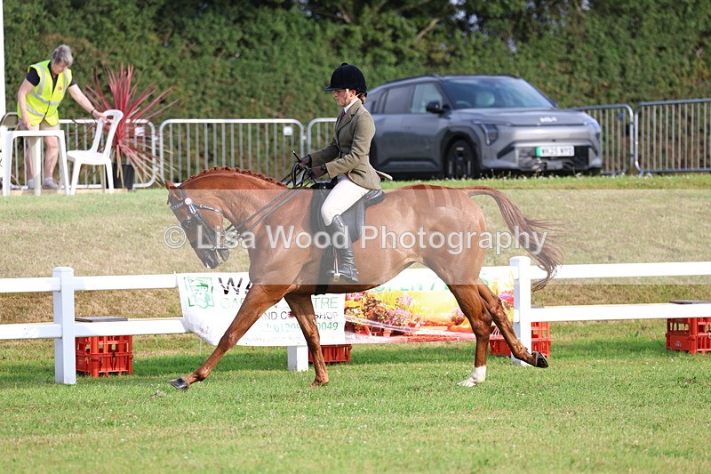 3E7A7823 - Class 1: Rising Star Small Hack/Riding Horses