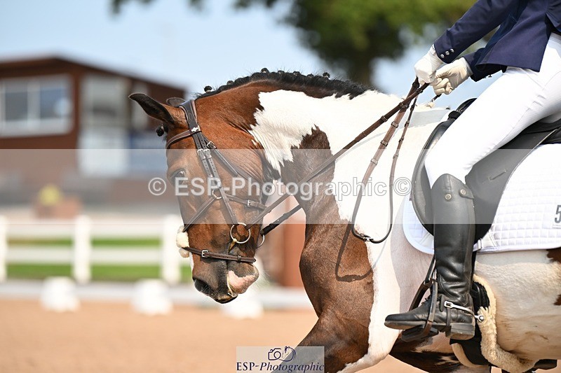 250816-140548-05005 - 050-Mollie.SheathTouch.Wood