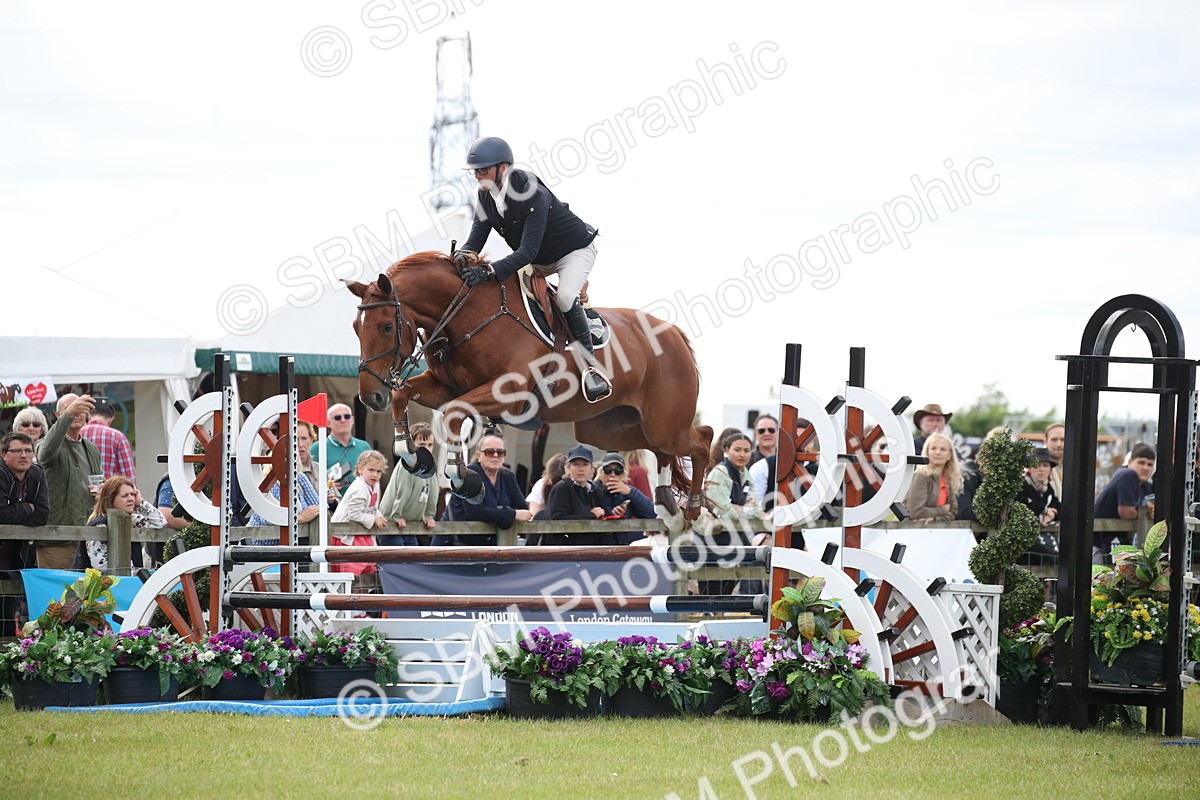 SBM_17463 - Class 208 - Senior Foxhunter 1.20m Open