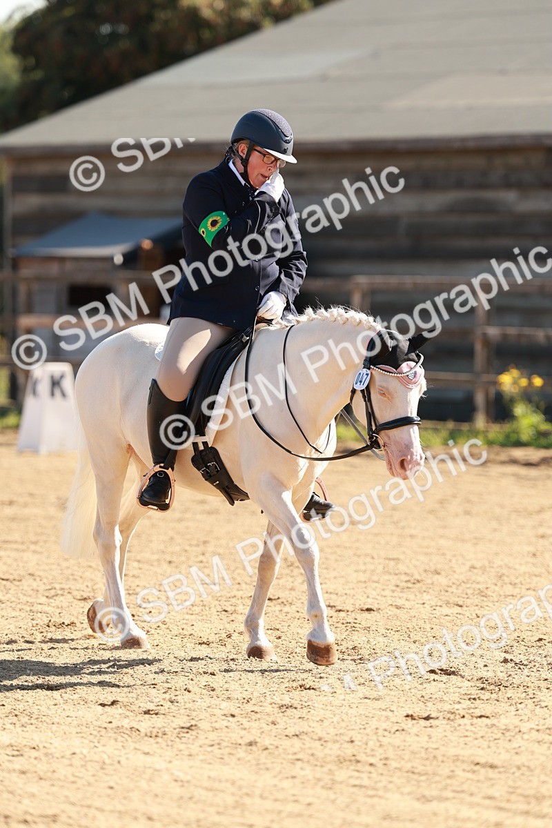 SBM_009316 - Class 2 - Intro 3