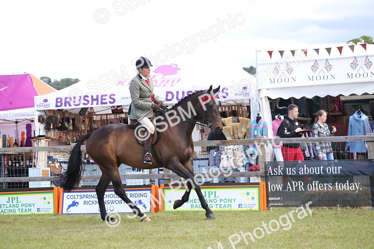 SBM_13284 - Class 95-96 - LIHS BSHA Rising Star Hack Riding Horse