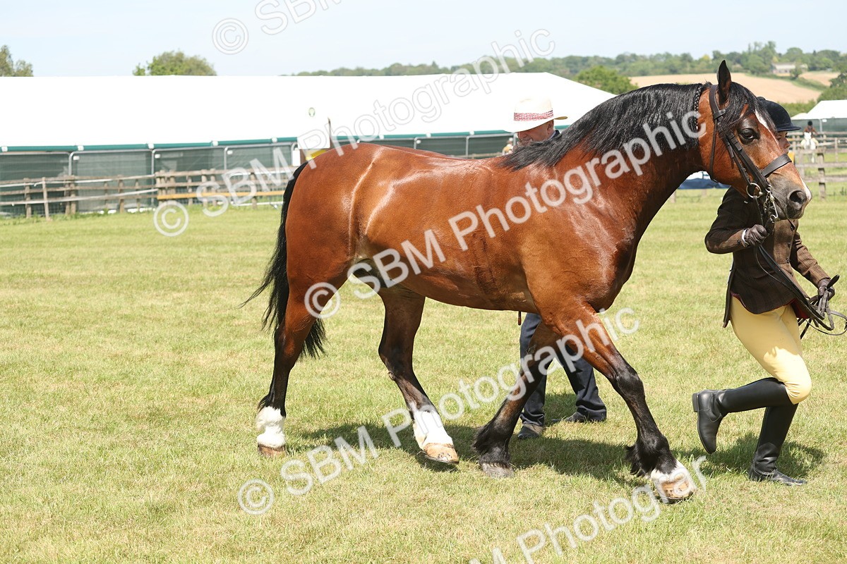 SBM_06983 - Class 26-30 - Mountain and Moorland Ridden