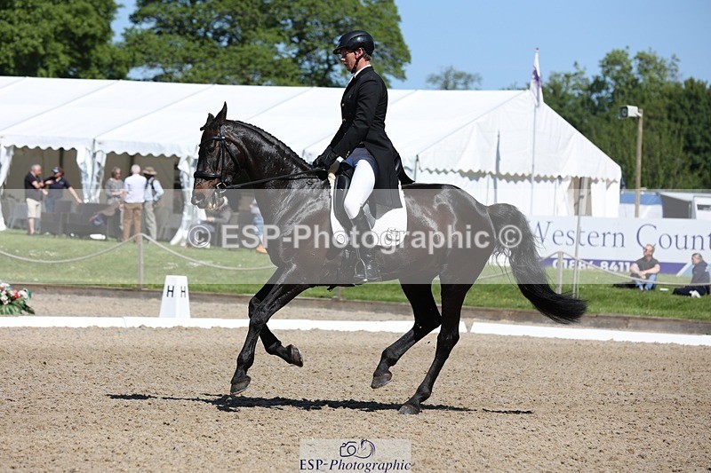 230526-104256-05308 - 363-RLE_KHALEESI_C-Christopher_Wincer-WEDTrotUp+DR