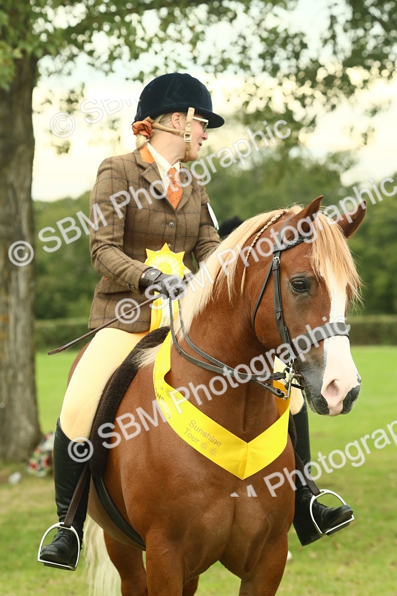 SBM_72307 - S60 - Mountain & Moorland Ridden Large Breeds