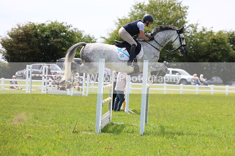 3E7A1396 - Class 12: Senior Foxhunter/1.20 open