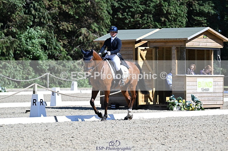 250522A-160916-04844 - C-229-Ellie.Healy-BALLADEER.JUST.FOR.KICKS