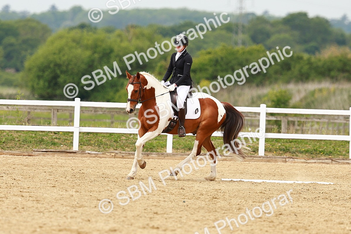 SBM_001683 - Class 7 - Novice 5