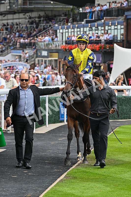 140825-Race 2-Lady Britain-0668 - Race 2