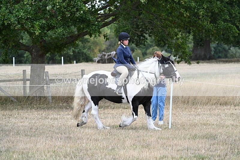 WJ7_4794 - Class 12 Ridden Cob