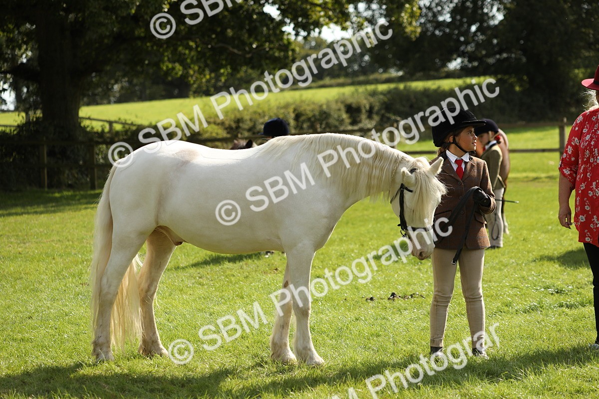 SBM_67801 - S39 - Junior Handler 8  Years & Under