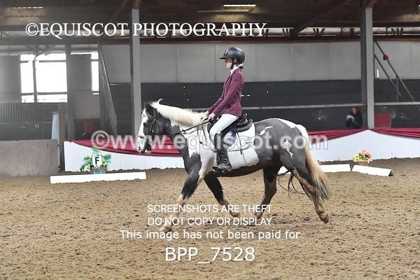 BPP_7528 - INTRO TEST 2