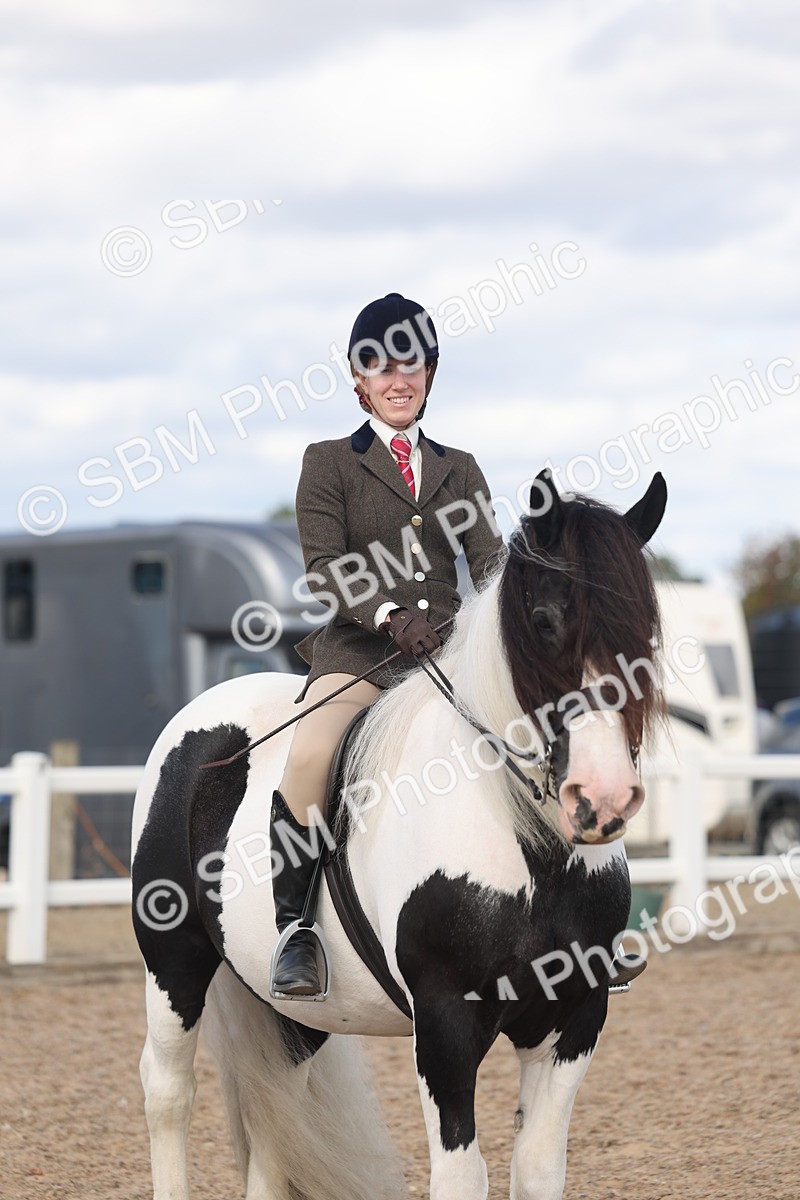 SBM_14805 - Class 308 - Ridden Coloured Horse