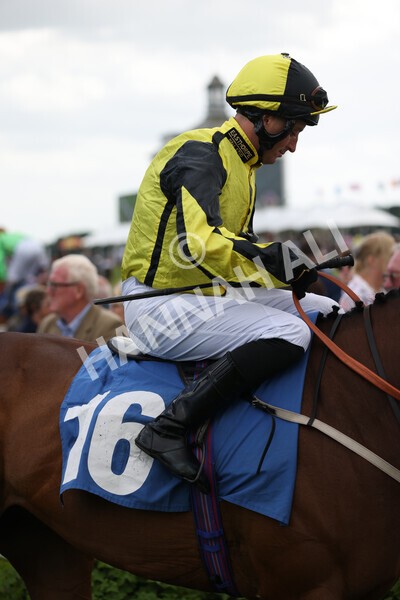 yr10062022r5-12 - Race 5 4.05pm Irish Thoroughbred Marketing Stakes