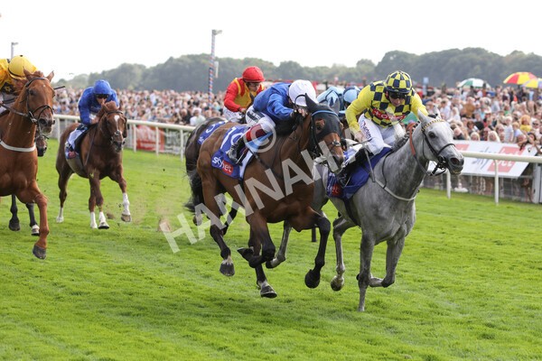 yr20082022r4-198 - Race 4 3.35pm Sky Bet Ebor