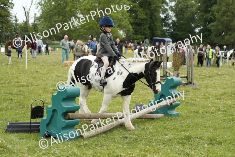 20250517-0487 - Class 20 - Beginners Working Hunter