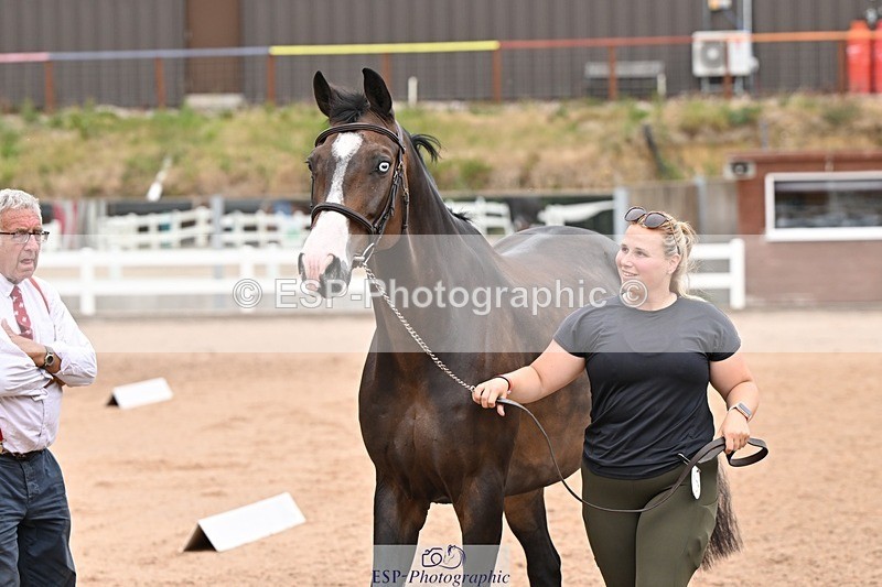 250716-144730-01402 - Trot Up 2.30 to 3.30