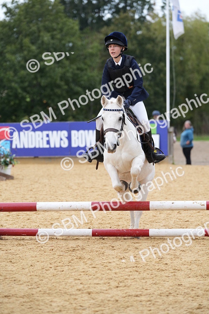 SBM_74843 - J4 - Mini Tour Junior Pony 45cm Championship