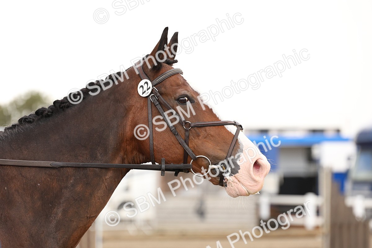 SBM_07560 - Class 59b -  Style & Performance - 80cm (20+)