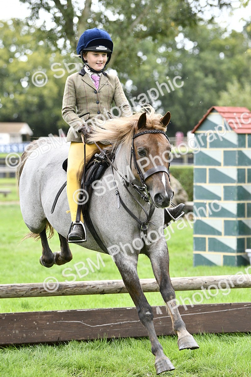 SBM_41334 - S32 - Mountain & Moorland Working Hunter Pony