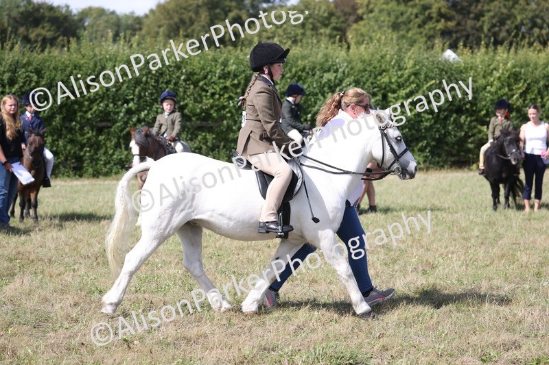 20260906-3035 - Class 18 - Childs First Pony