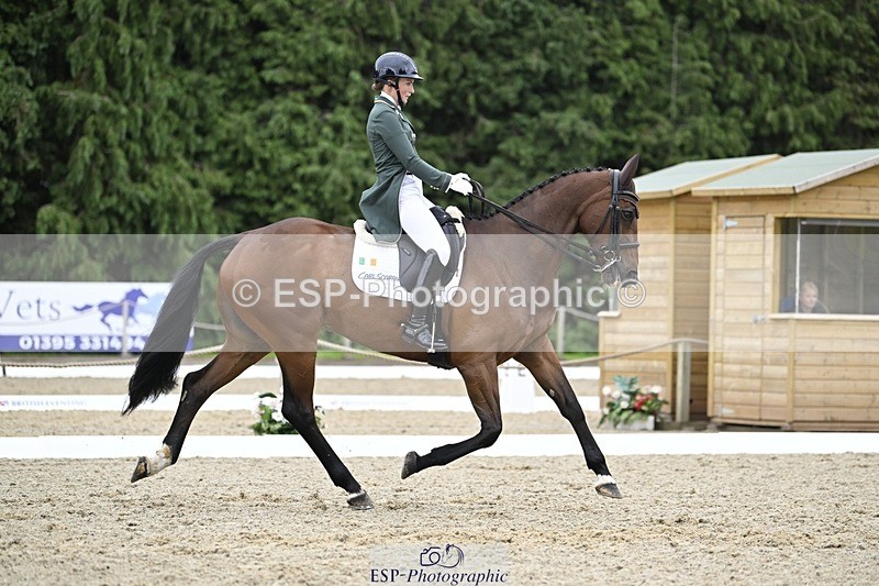 000101-212630-04308 - 412-WELLFIELDS_LINCOLN-Susie_Berry