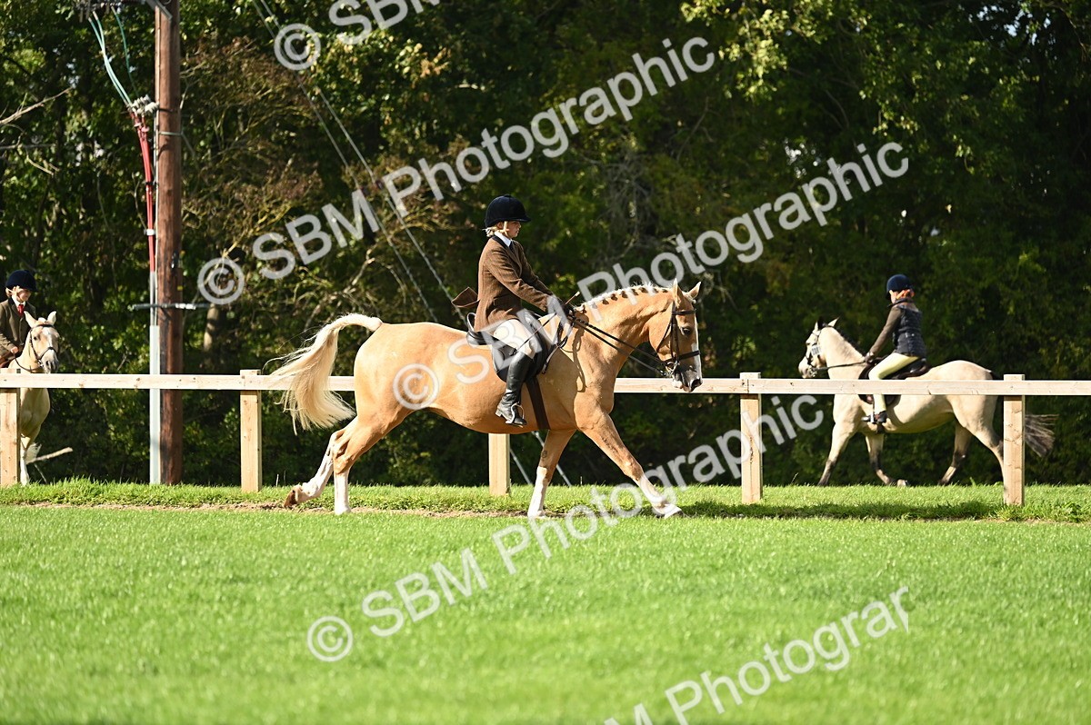SBM_26416 - S6 - Novice & newcomer Ridden horse