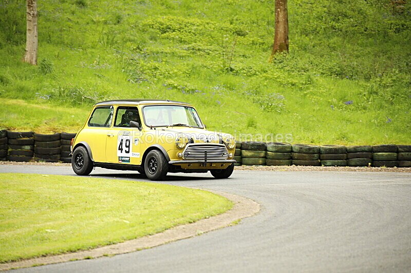 _56A1810 - MINI FESTIVAL 22ND May 2021