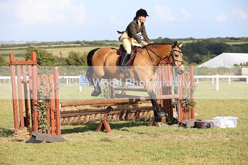 JPP_3199 - Class 21: Working Hunter 80cm