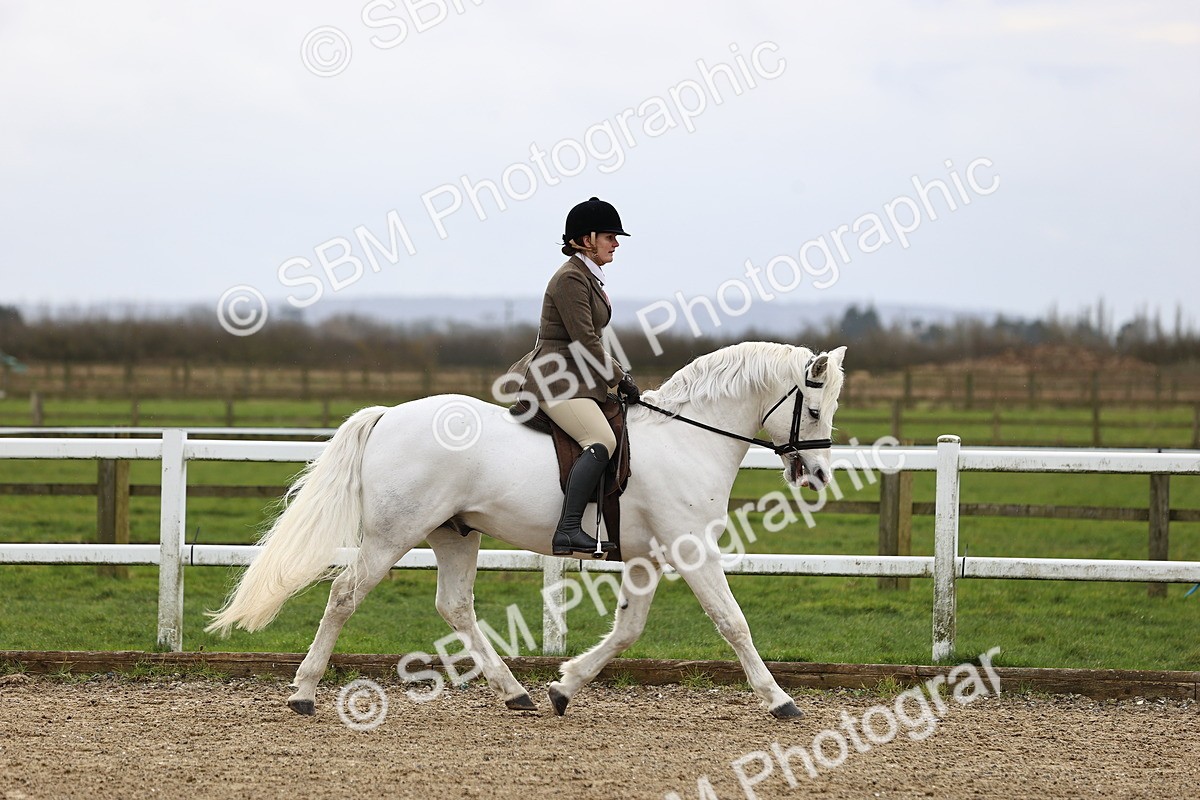 SBM_006895 - Class 29 - 30 - M&M Pure Novice Small-Large Breeds